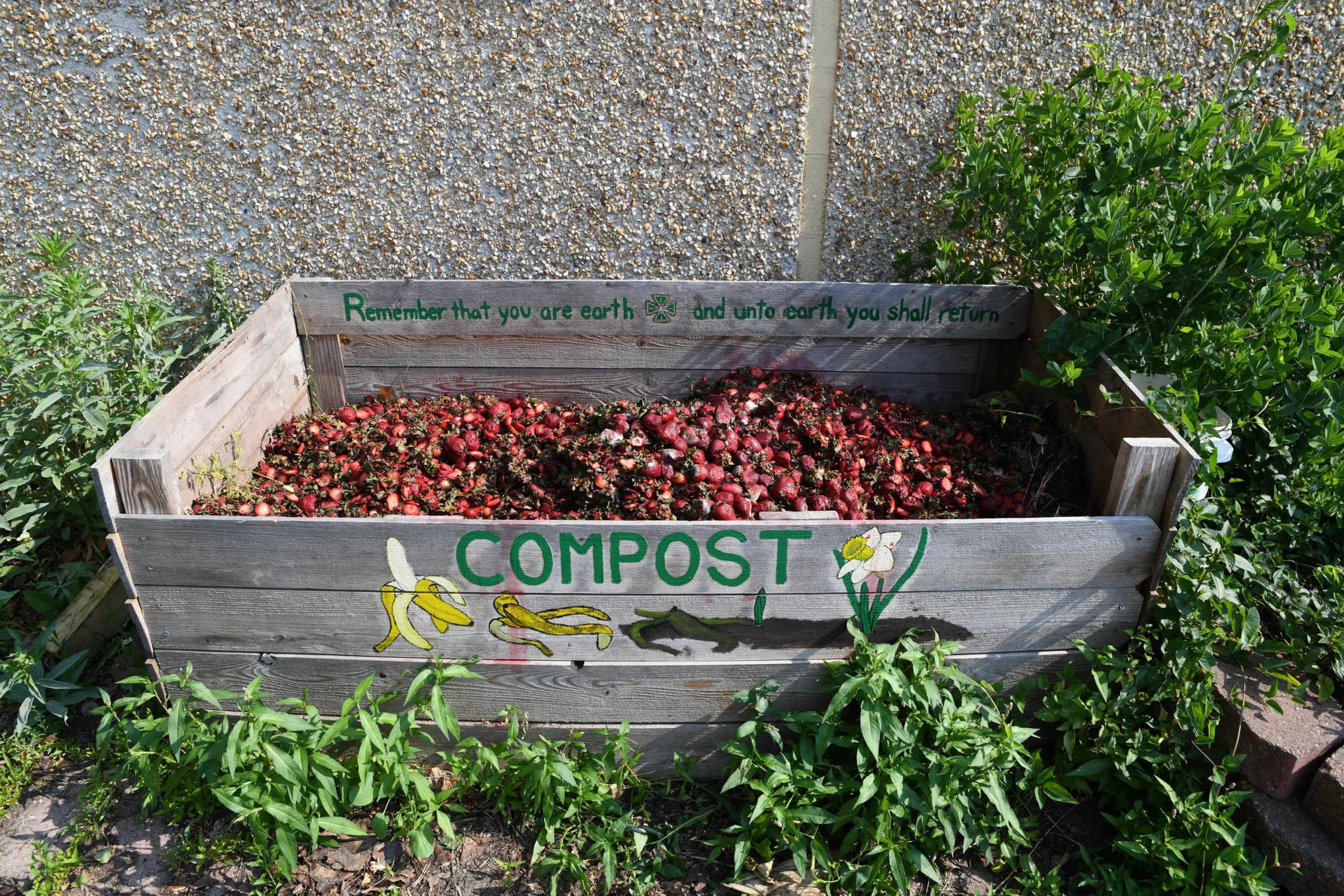 Composting Tips