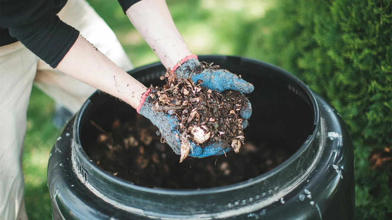 Composting Tips